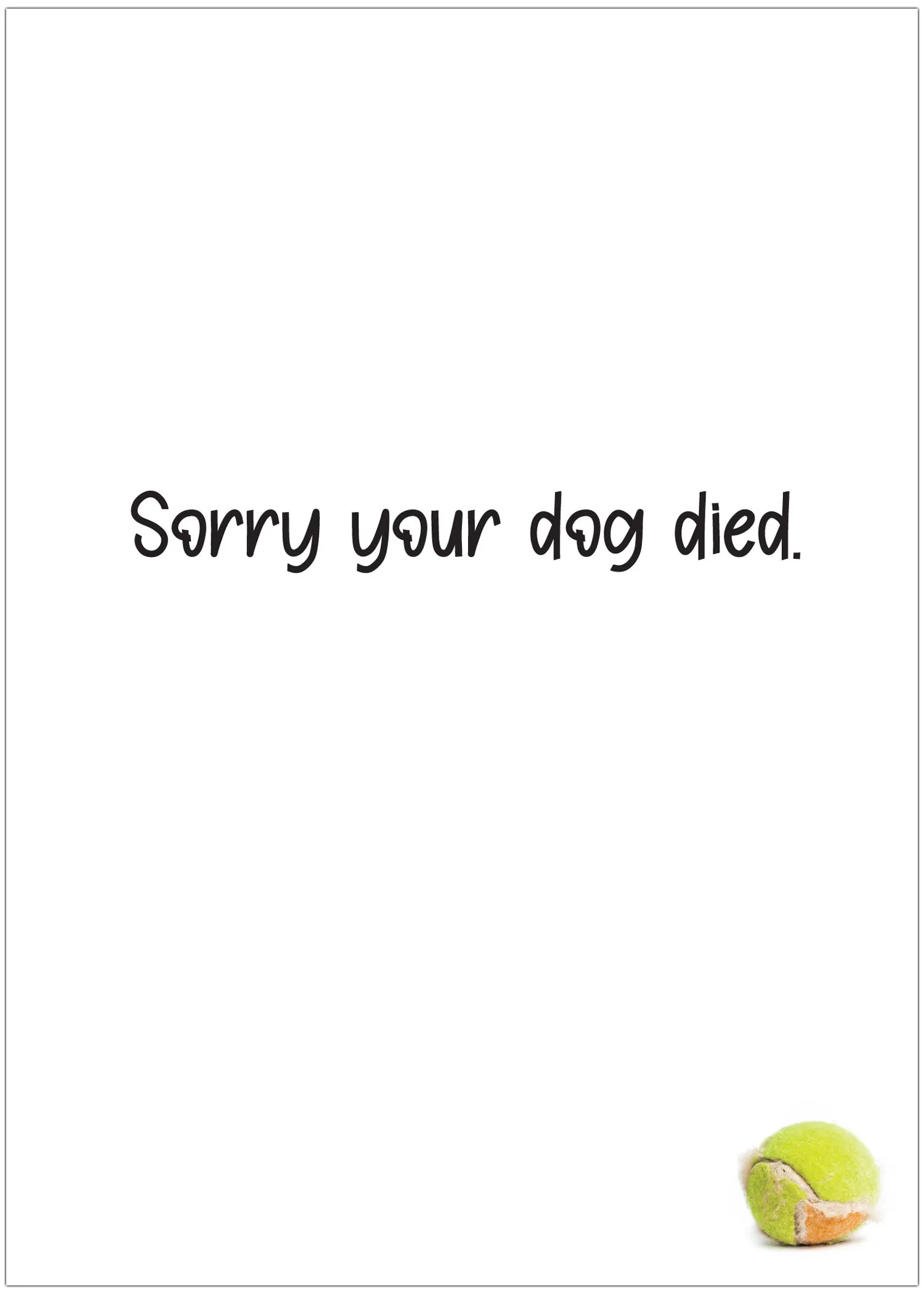 Great Greetings Dude, That Sucks Sorry Your Dog Died Bereavement/Sympathy Card