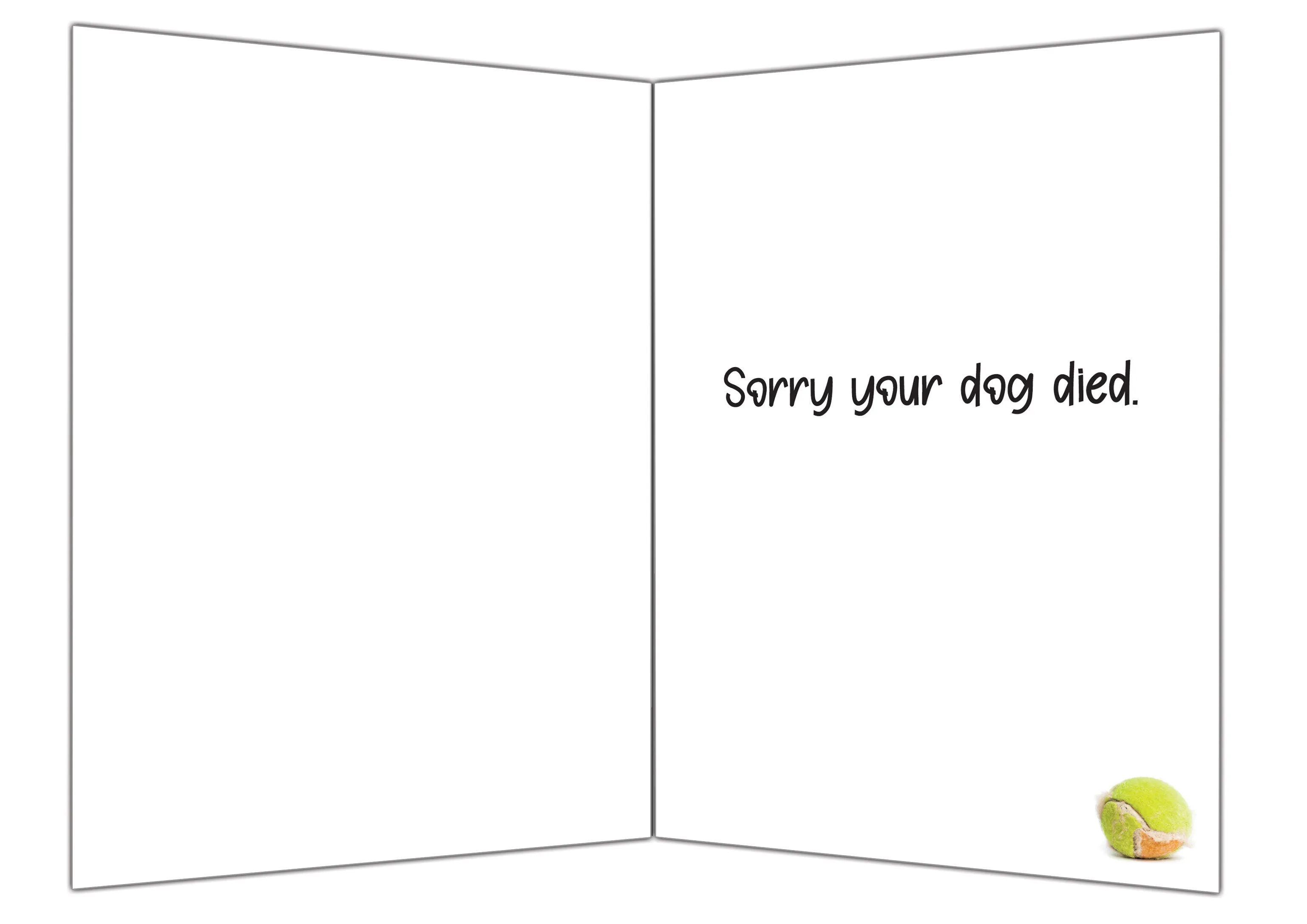 Great Greetings Dude, That Sucks Sorry Your Dog Died Bereavement/Sympathy Card
