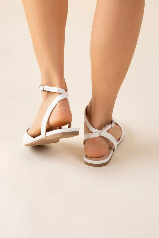 Pointed Toe Ankle Strap Flats