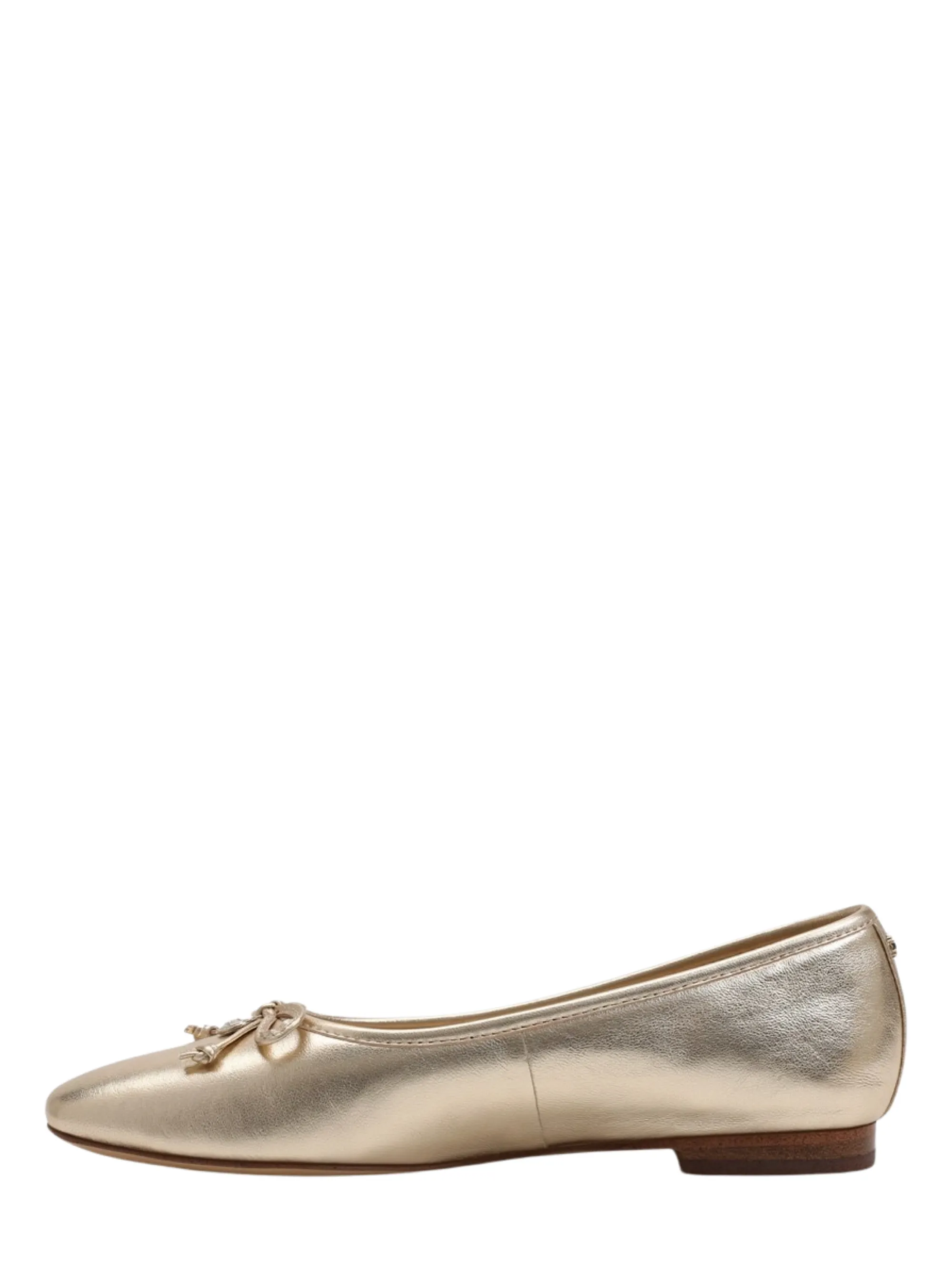 Sam Edelman Meadow Ballet Flat (More Colors)
