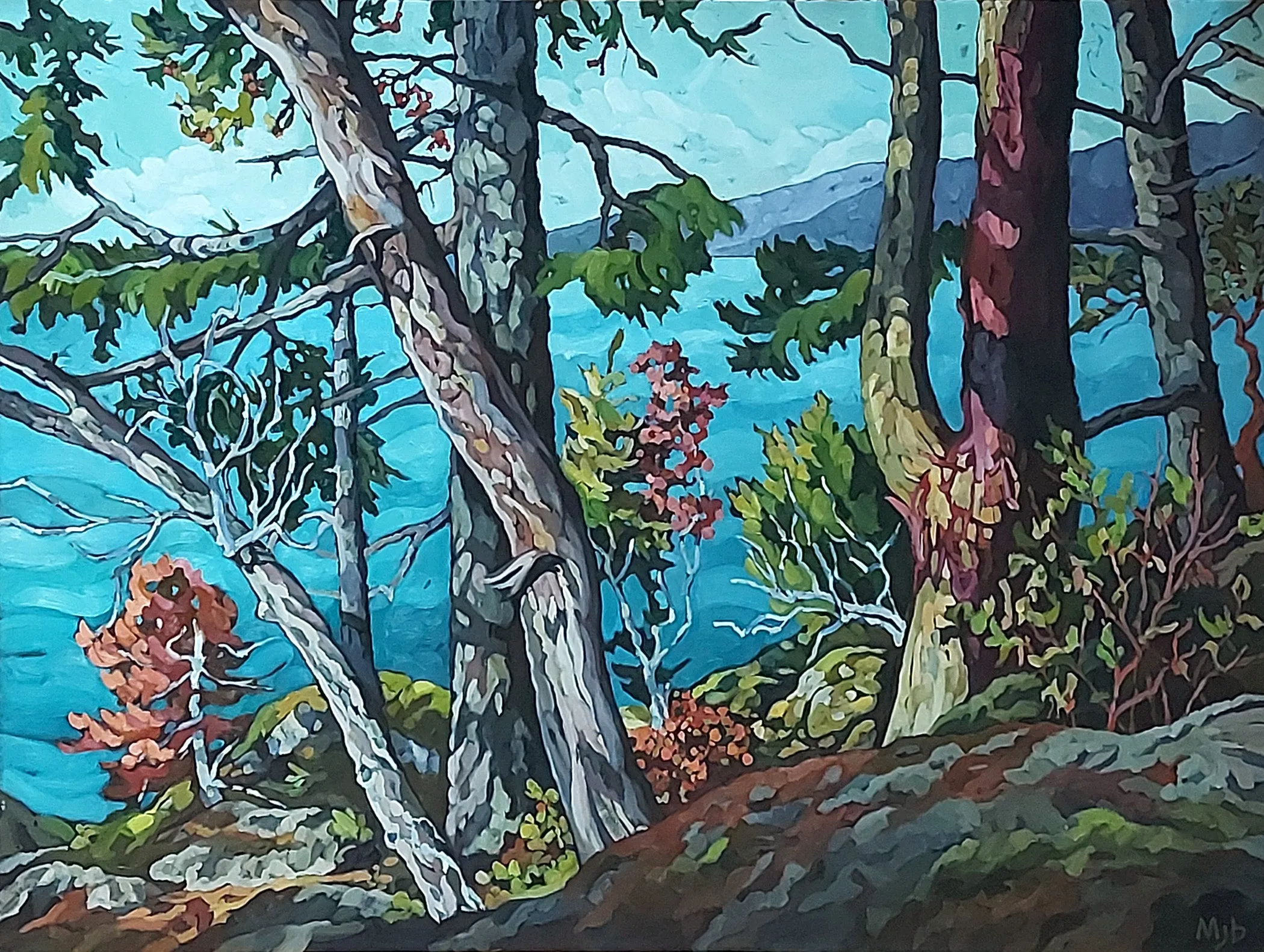 View to Passage Island, 2021